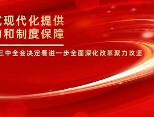 为中国式现代化提供强大动力和制度保障