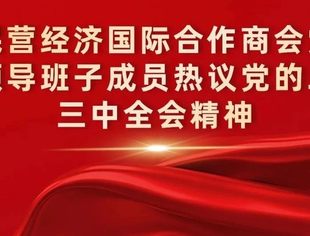中国民营经济国际合作商会党委和商会领导班子成员热议党的二十届三中全会精神