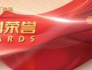 商会常务会长单位盈科律师事务所荣获《商法》2024年卓越律所大奖
