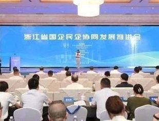 109个项目集中亮相 浙江国企民企协同发展开新局