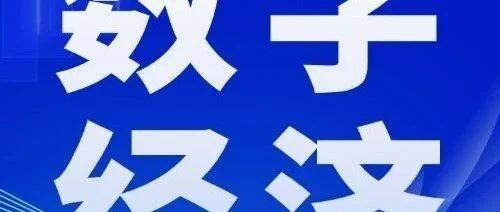 数实融合再加速 释放经济发展新动能