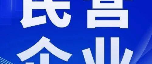 改革之“进”，离不开民企向“新”