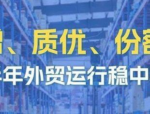 数读中国 | 量增、质优、份额稳 上半年外贸运行稳中有进