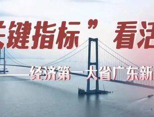 “关键指标”看活力——经济第一大省广东新观察