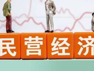 民营企业占比达92.3%！我国多举措促进民营经济高质量发展