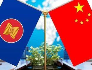 中国东盟经贸合作拾级而上
