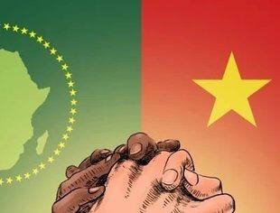 启新篇！中企对非投资合作行动出了蓝图