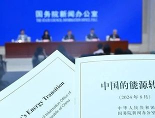 《中国的能源转型》白皮书：民营企业成中国新能源产业主要力量
