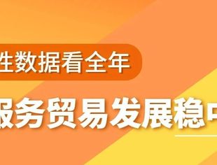 数读中国丨从阶段性数据看全年 我国服务贸易发展稳中向好