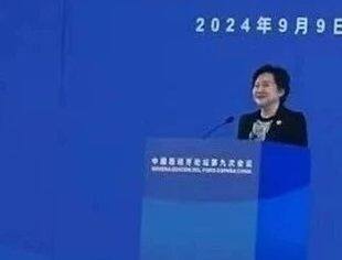 商会副会长王丽应邀出席中国西班牙论坛第九次会议并在可持续发展分论坛发表演讲