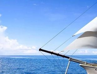 乘势而上 企业出海为绿色出行“加电”