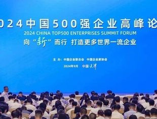 中国大企业内生发展动力不断蓄积