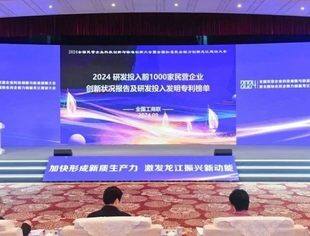 2024研发投入前1000家民营企业创新状况报告发布