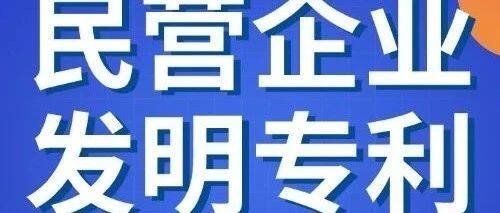 2024民营企业发明专利500家榜单