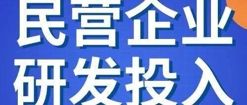 2024民营企业研发投入500家榜单