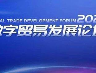 中外企业共赴数字贸易美好未来