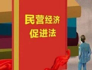 新华视点丨聚焦民营经济促进法草案征求意见稿四大看点
