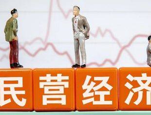 不断深化改革 促进民营经济发展壮大