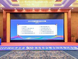 报告：民营企业成科技创新重要主体，互联网行业研发投入领先