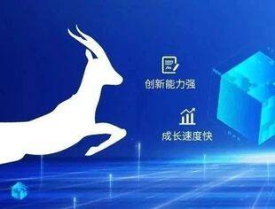 多地补贴研发经费 护航瞪羚企业跑出加速度