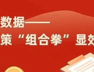 数读中国 | 三组数据看政策“组合拳”显效落地