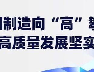 数读中国 | 中国制造向“高”攀登 彰显高质量发展坚实底气