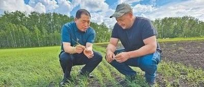 中亚国家挖掘农业增长潜力