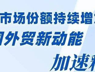 数读中国｜国际市场份额持续增加 外贸新动能加速释放