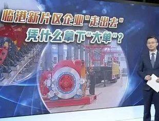 临港新片区企业“走出去”，凭啥拿下“大单”？