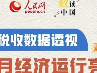 数读中国 | 从税收数据透视10月经济运行亮点