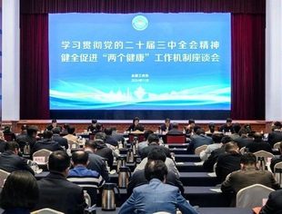 全国工商联在青岛召开学习贯彻党的二十届三中全会精神、健全促进“两个健康”工作机制座谈会