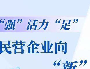 数读中国丨韧性“强”活力“足” 我国民营企业向“新”而行