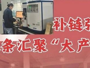 民营经济“小”与“大”丨补链强链，小链条汇聚“大产业”