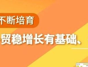 数读中国 | 新动能不断培育 我国外贸稳增长有基础、有支撑