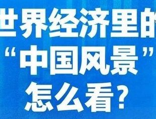 当前中国经济问答 | 世界经济里的“中国风景”怎么看
