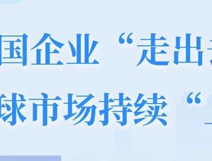 数读中国丨中国企业“走出去” 为全球市场持续“上新”