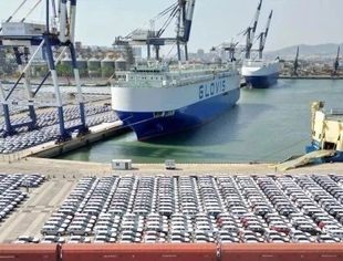 自信“出海” “圈粉”世界