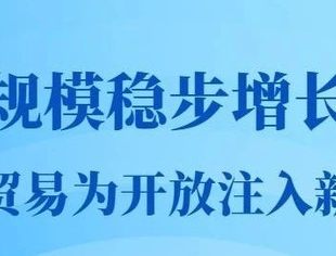 数读中国丨规模稳步增长 数字贸易为开放注入新动能