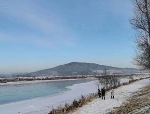 黑龙江强化企业科技创新主体地位