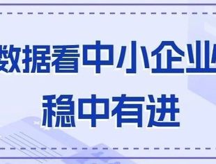 数读中国 | 五组数据看中小企业运行稳中有进