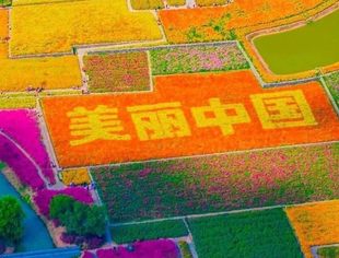 向“新”向“美” 分级分类推进美丽中国先行区建设
