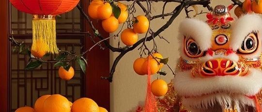 中国民营经济国际合作商会2025新春寄语