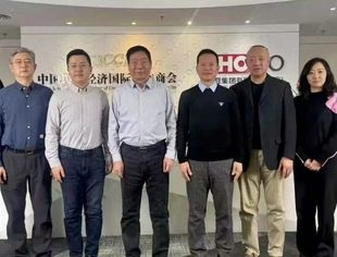 福建省民营经济国际合作商会到访我会座谈交流