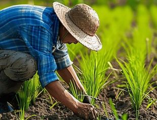 扩范围提标准 四部委部署加力推进老旧农机报废更新