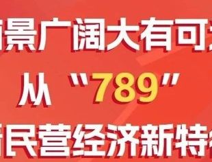 前景广阔大有可为！从“789”看民营经济新特征