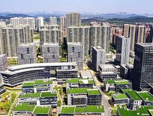 财经观察：亮眼数据彰显民营企业创新活力足
