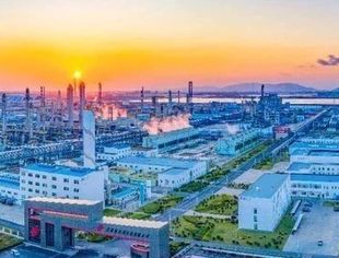 培育创新型企业 持续为经济发展注入强动能