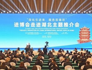 “进博会走进湖北”客商赴宜昌考察 共探大健康产业发展新机遇