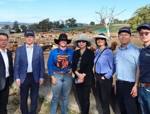 会员风采丨融诚物产集团：深化澳新经贸合作 开启国际化发展新篇
