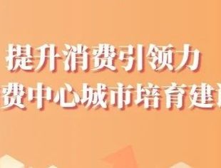 提升消费引领力 国际消费中心城市培育建设加速